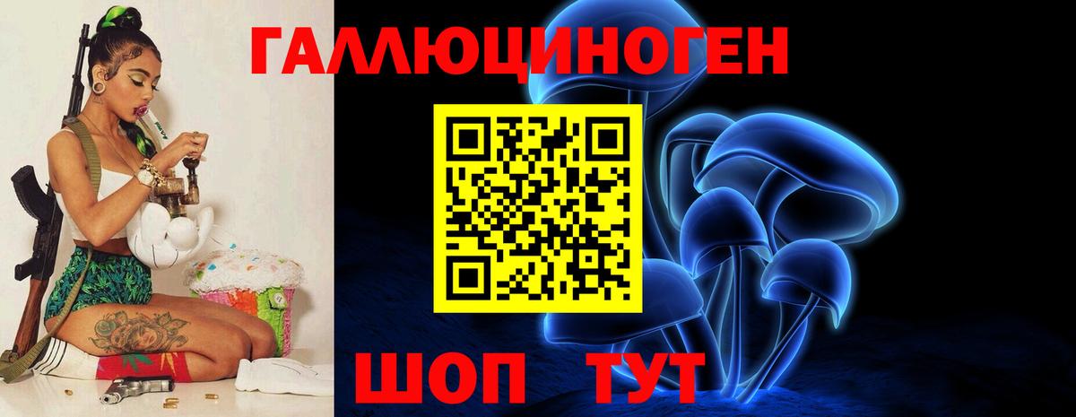 Псилоцибиновые грибы GOLDEN TEACHER  Псилоцибиновые грибы ЛСД  Вязники  Вход с VPN 